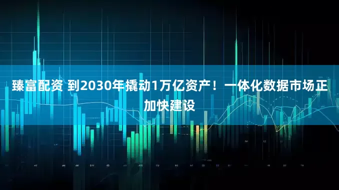 臻富配资 到2030年撬动1万亿资产！一体化数据市场正加快建设
