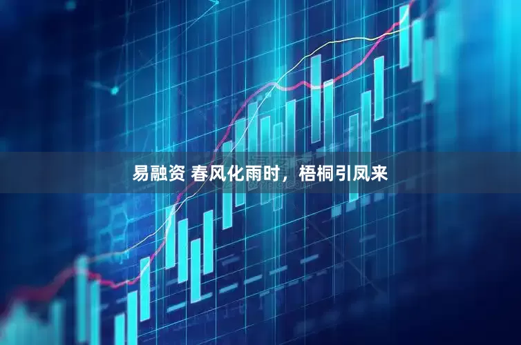 易融资 春风化雨时，梧桐引凤来