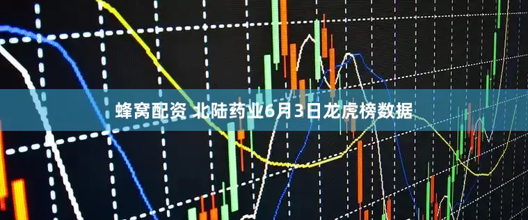 蜂窝配资 北陆药业6月3日龙虎榜数据