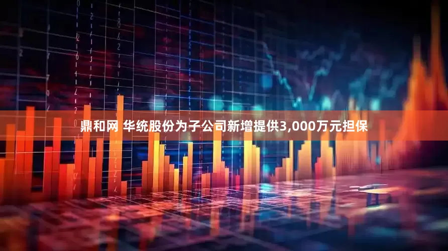 鼎和网 华统股份为子公司新增提供3,000万元担保