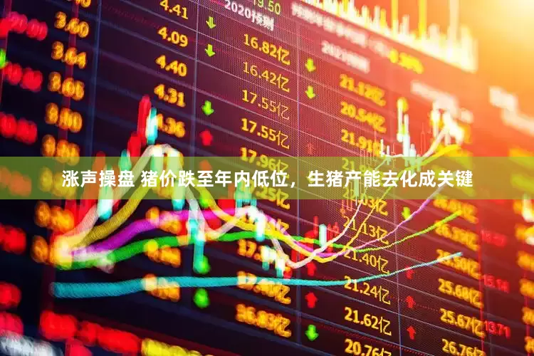 涨声操盘 猪价跌至年内低位，生猪产能去化成关键