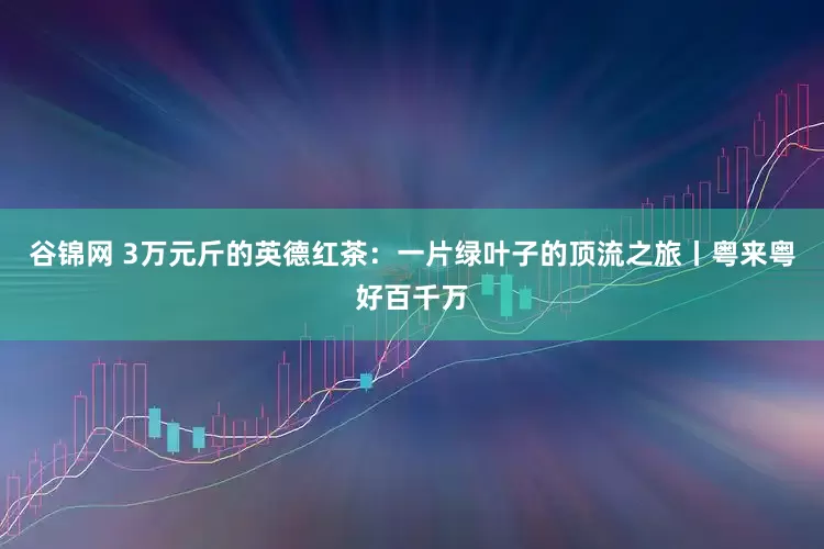 谷锦网 3万元斤的英德红茶：一片绿叶子的顶流之旅丨粤来粤好百千万